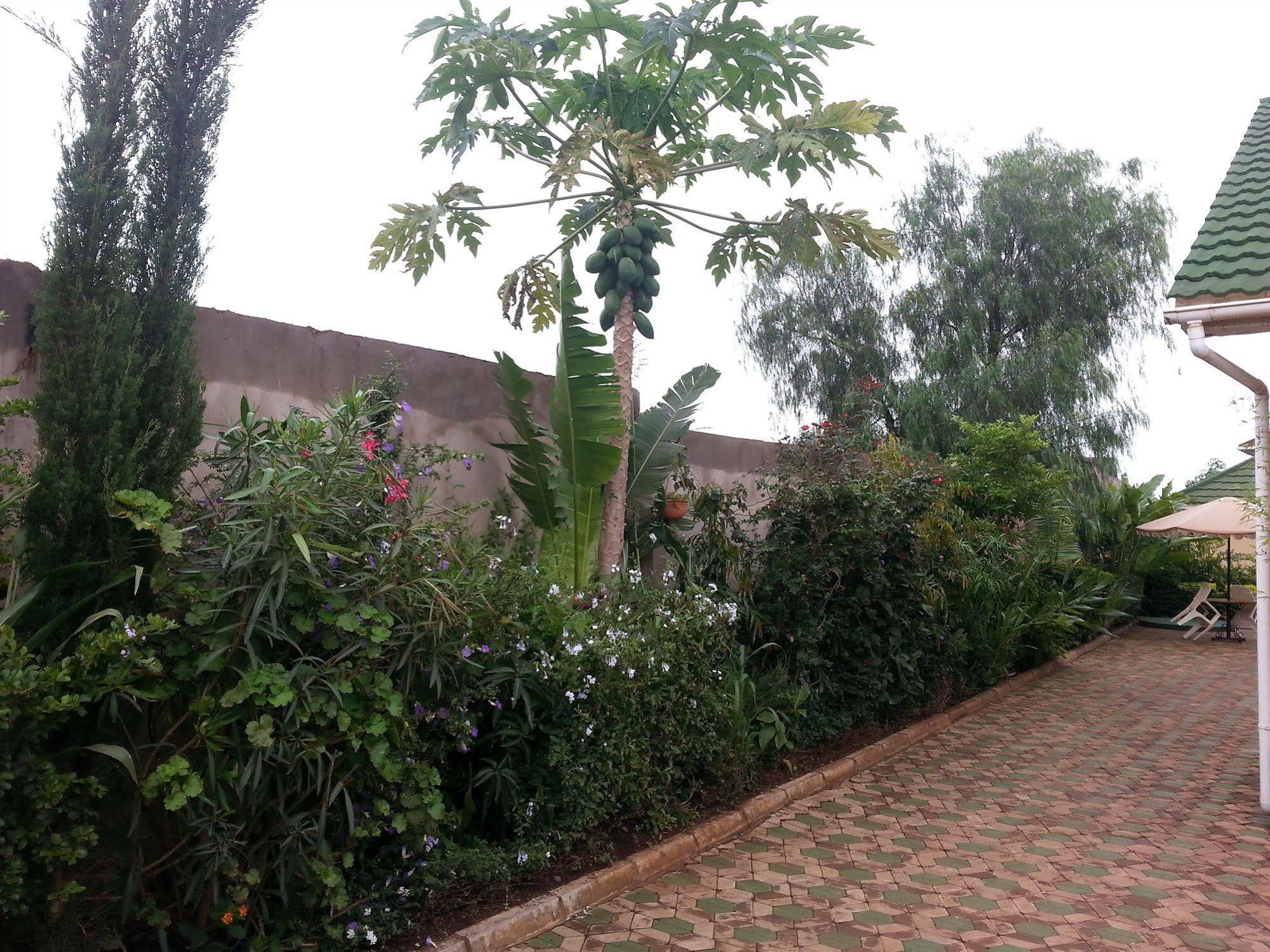Korona House Hotel Arusha Buitenkant foto